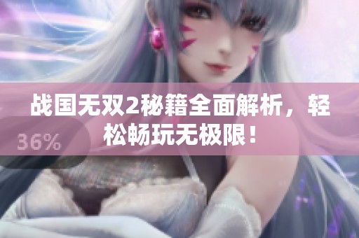 战国无双2秘籍全面解析，轻松畅玩无极限！