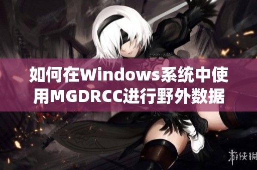 如何在Windows系统中使用MGDRCC进行野外数据采集与处理