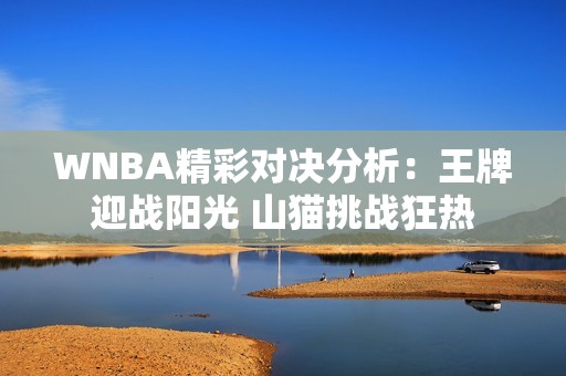 WNBA精彩对决分析：王牌迎战阳光 山猫挑战狂热