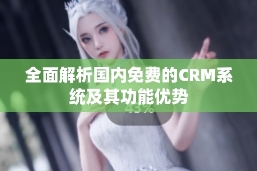 全面解析国内免费的CRM系统及其功能优势