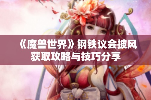 《魔兽世界》钢铁议会披风获取攻略与技巧分享