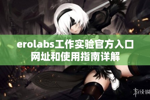 erolabs工作实验官方入口网址和使用指南详解