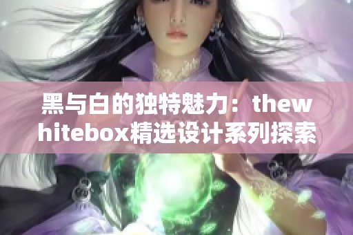 黑与白的独特魅力：thewhitebox精选设计系列探索