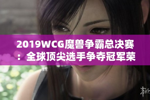 2019WCG魔兽争霸总决赛：全球顶尖选手争夺冠军荣耀