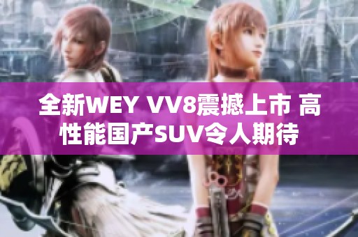 全新WEY VV8震撼上市 高性能国产SUV令人期待