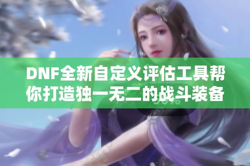 DNF全新自定义评估工具帮你打造独一无二的战斗装备