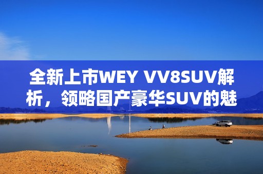 全新上市WEY VV8SUV解析，领略国产豪华SUV的魅力与性能