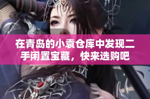 在青岛的小袁仓库中发现二手闲置宝藏，快来选购吧