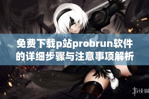 免费下载p站probrun软件的详细步骤与注意事项解析