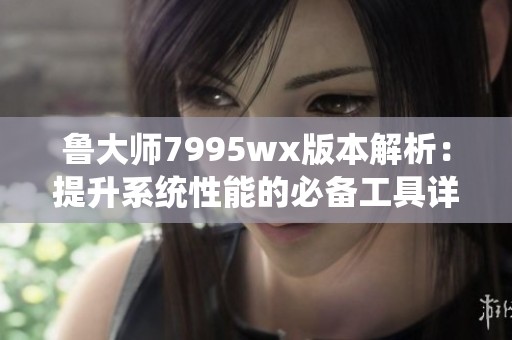 鲁大师7995wx版本解析：提升系统性能的必备工具详解