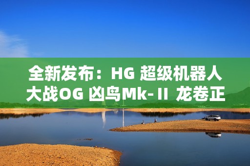 全新发布：HG 超级机器人大战OG 凶鸟Mk-Ⅱ 龙卷正式登场