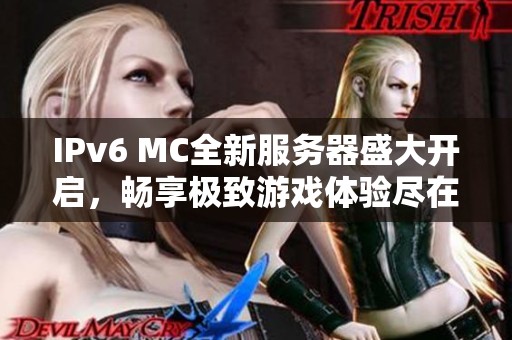 IPv6 MC全新服务器盛大开启，畅享极致游戏体验尽在其中