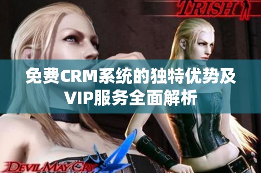 免费CRM系统的独特优势及VIP服务全面解析