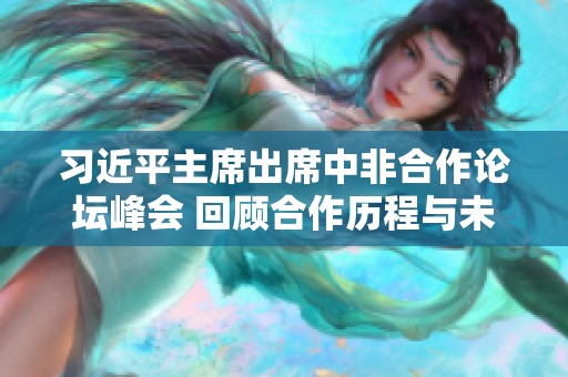 习近平主席出席中非合作论坛峰会 回顾合作历程与未来展望