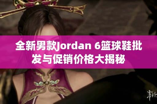 全新男款Jordan 6篮球鞋批发与促销价格大揭秘