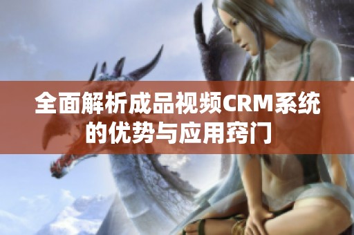 全面解析成品视频CRM系统的优势与应用窍门