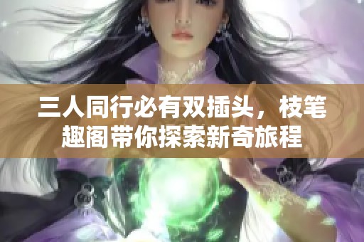 三人同行必有双插头，枝笔趣阁带你探索新奇旅程