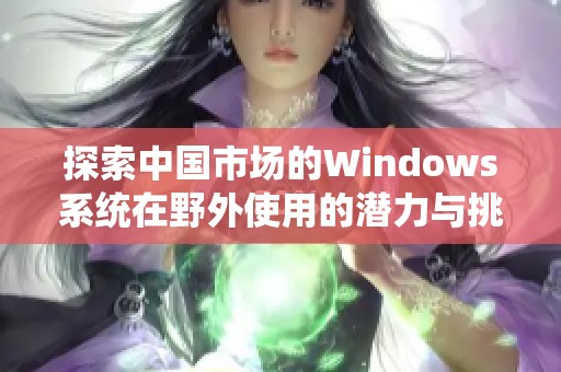 探索中国市场的Windows系统在野外使用的潜力与挑战