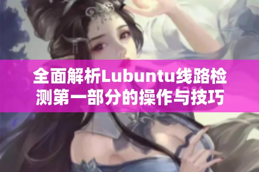 全面解析Lubuntu线路检测第一部分的操作与技巧