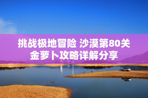 挑战极地冒险 沙漠第80关金萝卜攻略详解分享