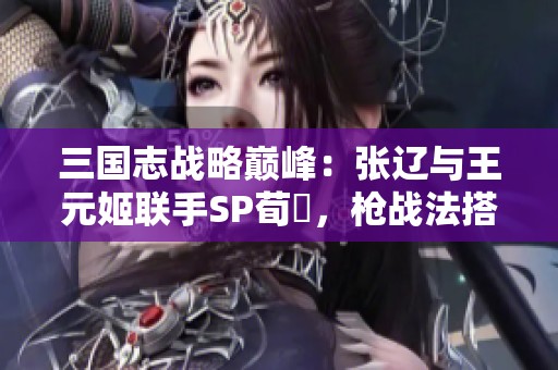 三国志战略巅峰：张辽与王元姬联手SP荀彧，枪战法搭配解析