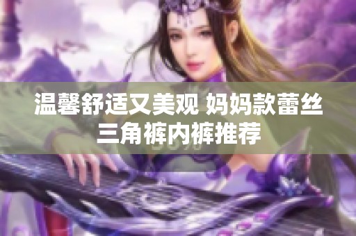 温馨舒适又美观 妈妈款蕾丝三角裤内裤推荐