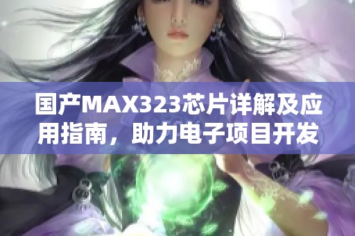 国产MAX323芯片详解及应用指南，助力电子项目开发