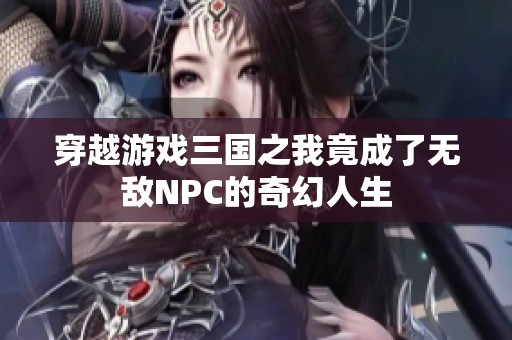 穿越游戏三国之我竟成了无敌NPC的奇幻人生