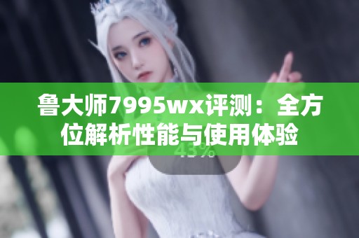 鲁大师7995wx评测：全方位解析性能与使用体验