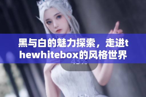 黑与白的魅力探索，走进thewhitebox的风格世界