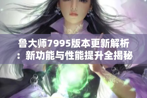 鲁大师7995版本更新解析：新功能与性能提升全揭秘