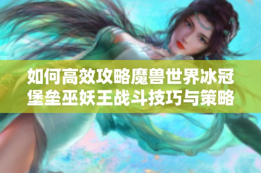 如何高效攻略魔兽世界冰冠堡垒巫妖王战斗技巧与策略解析