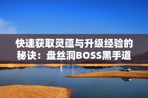 快速获取灵蕴与升级经验的秘诀：盘丝洞BOSS黑手道人的攻略解析