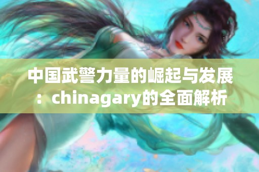 中国武警力量的崛起与发展：chinagary的全面解析