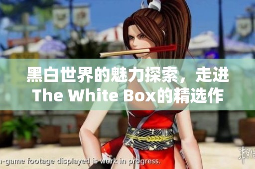 黑白世界的魅力探索，走进The White Box的精选作品