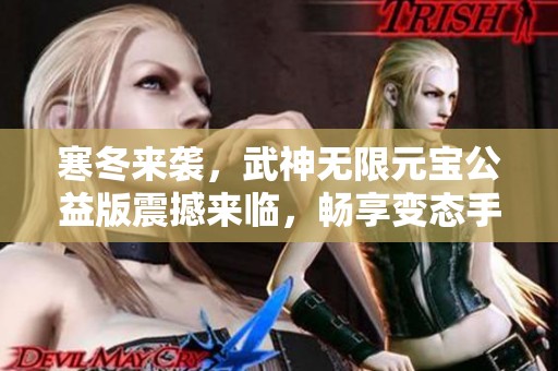 寒冬来袭，武神无限元宝公益版震撼来临，畅享变态手游乐趣