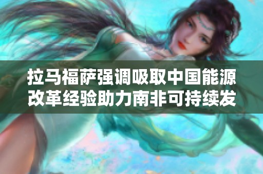 拉马福萨强调吸取中国能源改革经验助力南非可持续发展