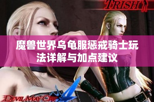 魔兽世界乌龟服惩戒骑士玩法详解与加点建议