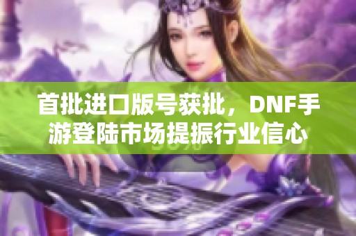 首批进口版号获批，DNF手游登陆市场提振行业信心