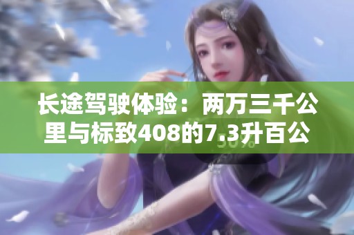 长途驾驶体验：两万三千公里与标致408的7.3升百公里油耗分析