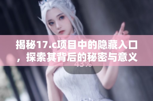 揭秘17.c项目中的隐藏入口，探索其背后的秘密与意义