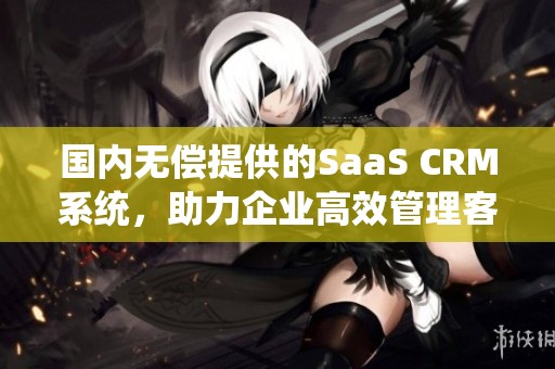 国内无偿提供的SaaS CRM系统，助力企业高效管理客户关系