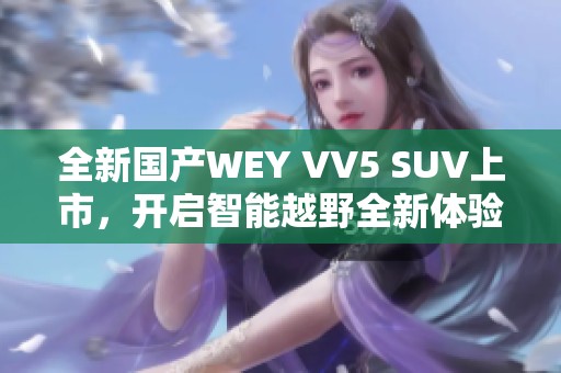 全新国产WEY VV5 SUV上市，开启智能越野全新体验