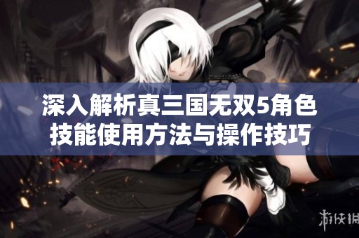 深入解析真三国无双5角色技能使用方法与操作技巧