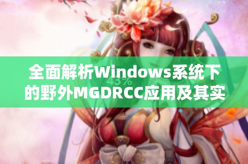 全面解析Windows系统下的野外MGDRCC应用及其实用性