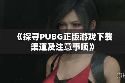 《探寻PUBG正版游戏下载渠道及注意事项》