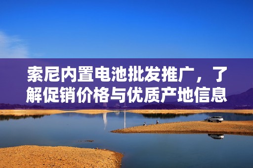 索尼内置电池批发推广，了解促销价格与优质产地信息，助力您的商业选择