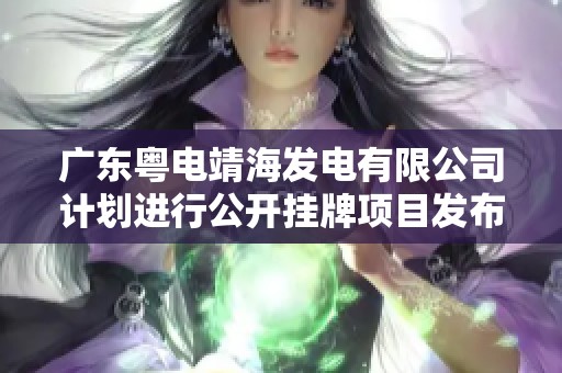 广东粤电靖海发电有限公司计划进行公开挂牌项目发布新消息