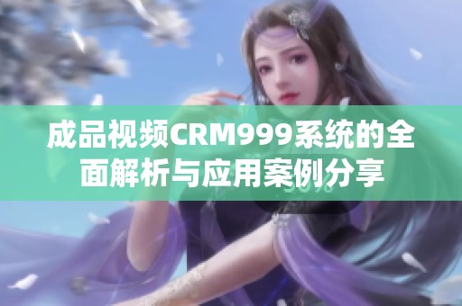 成品视频CRM999系统的全面解析与应用案例分享