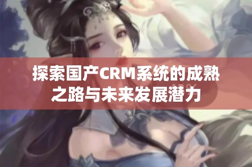 探索国产CRM系统的成熟之路与未来发展潜力